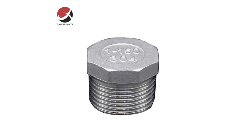 不鏽鋼(gang)六角螺塞管(guan)件